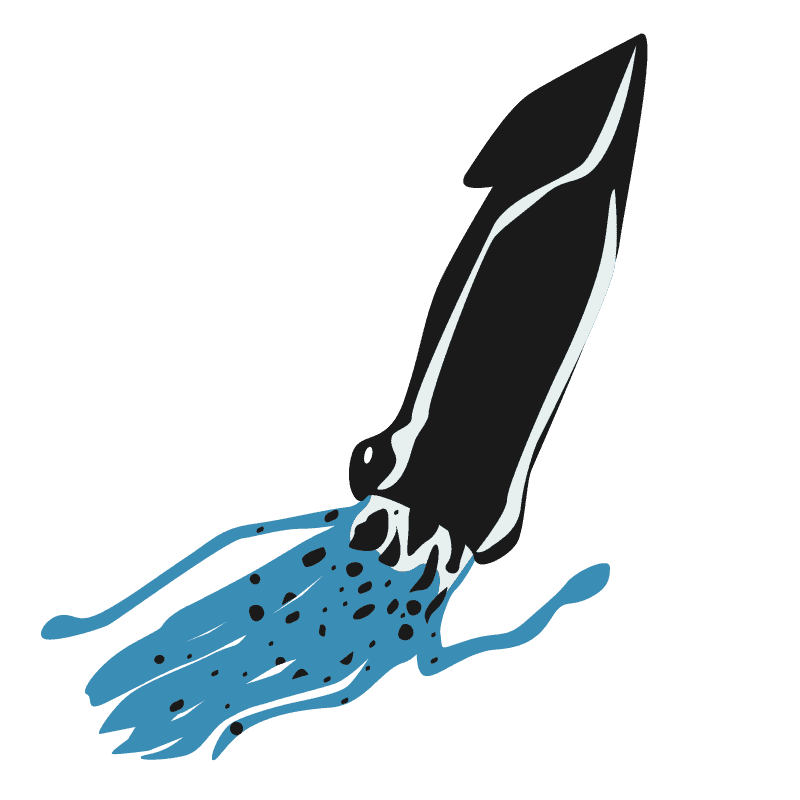 ［イカ］
